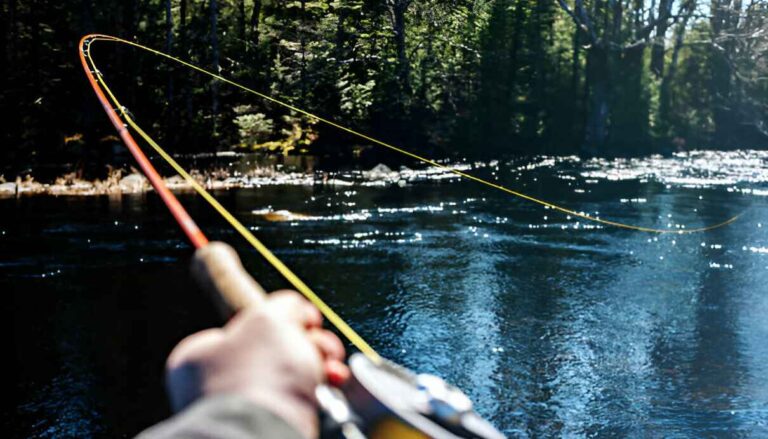Fly Fishing Vs Spin Fishing: How to Choose?