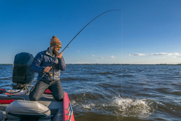 The November Slide: Why Fish Drop Deeper Faster Than You Think