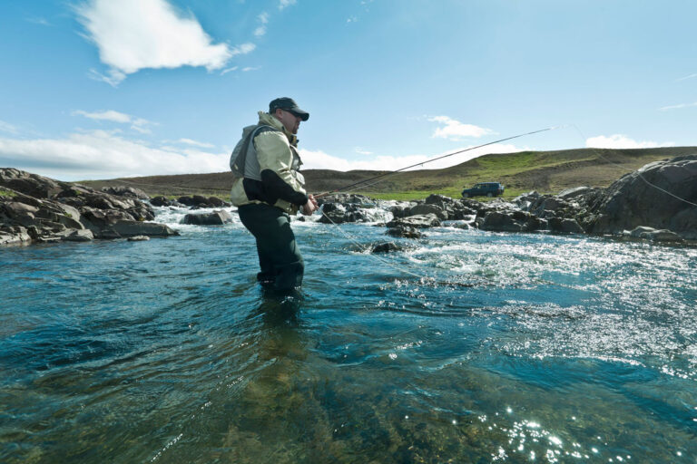 From Heatwaves to Hard Bites: Why Fall Weather Brings Out the Monsters