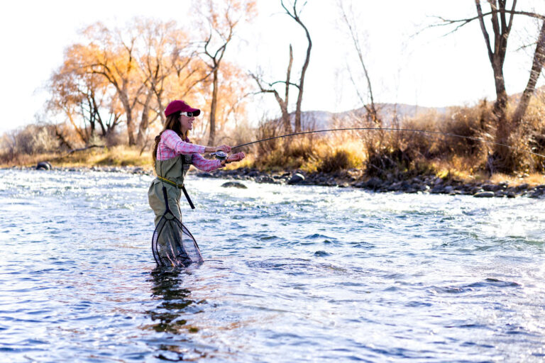 Finesse vs. Power: Which Fall Bass Technique Wins in Cold Fronts?