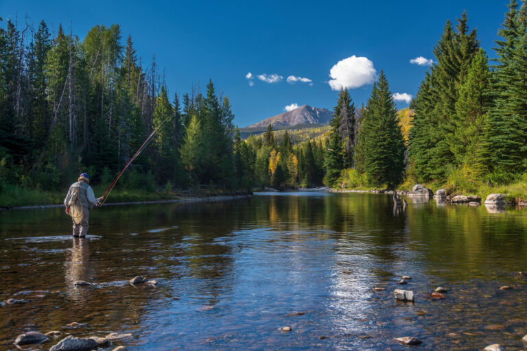 Late-Summer Bass Blitz: Tactics for Pressured Waters