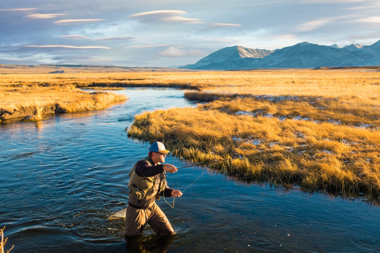 Why Winter Fish Rarely Chase Beyond a Certain Distance