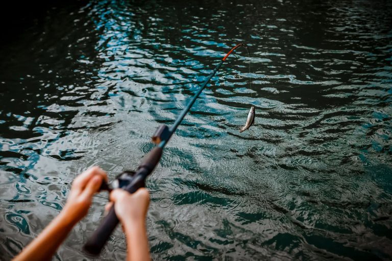 Why Your Summer Fishing Techniques Start Losing Effectiveness Right Now