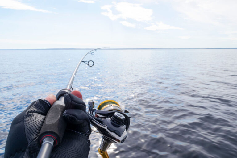 A Beginner’s Guide to Freshwater Fishing in the U.S.