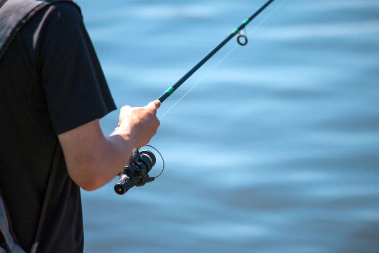 How Predator Fish Follow Baitfish Into Warmer Zones