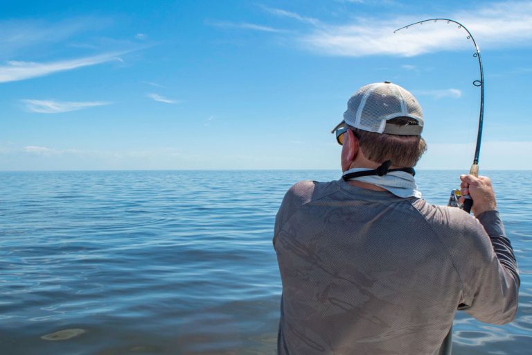 Why You’re Seeing Fish but Struggling to Get Them to Bite