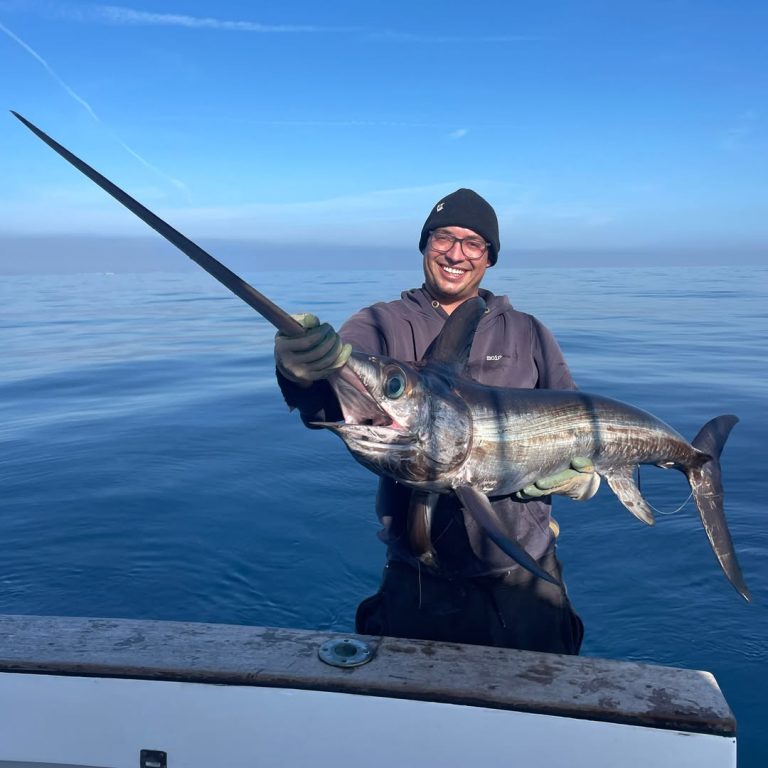 How Rising Daytime Temperatures Wake Dormant Fish